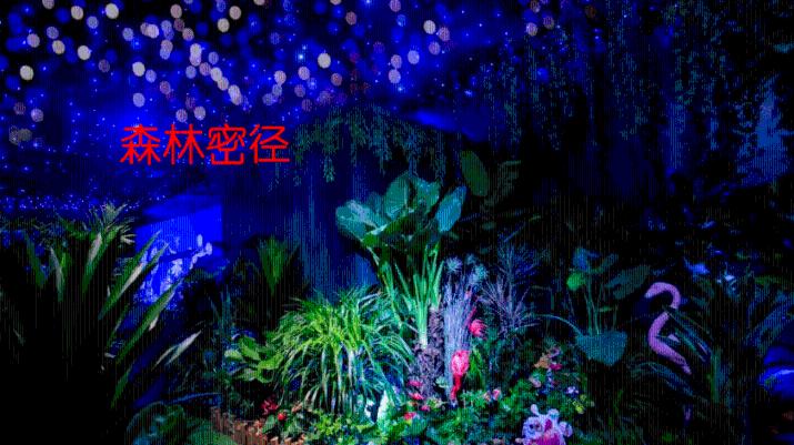 积极投身环保事业,三星为环境与可持续发展贡献力量